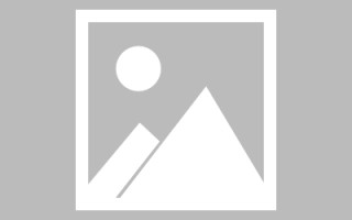 建湖免编程制作网站（免编程制作网站推荐）